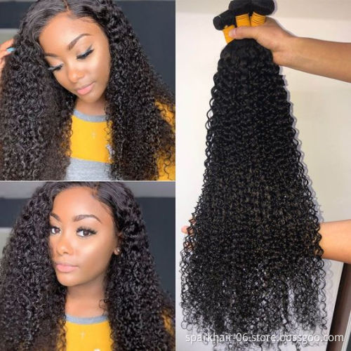 100% Brazilian Virgin Remy Hair Extensions, Remy Virgin Human Hair Wholesale Price,Deep curly hair 12inch-32inch
